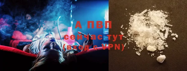 спиды Весьегонск