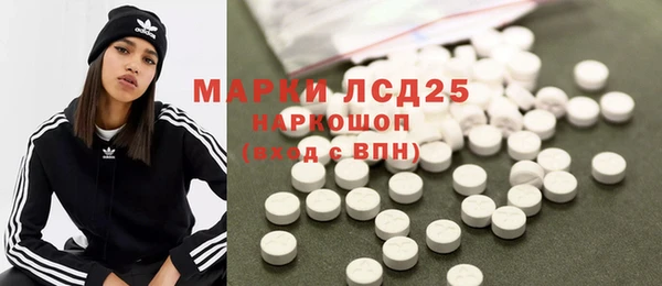 прущие грибы Надым
