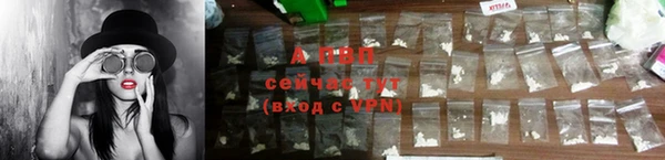 прущие грибы Надым
