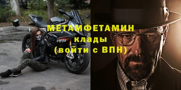 прущие грибы Надым