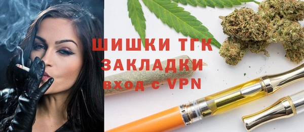 прущие грибы Надым