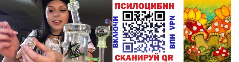 купить закладку  Электрогорск  MEGA   Псилоцибиновые грибы мухоморы 