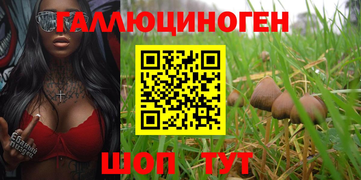 Галлюциногенные грибы GOLDEN TEACHER Электрогорск