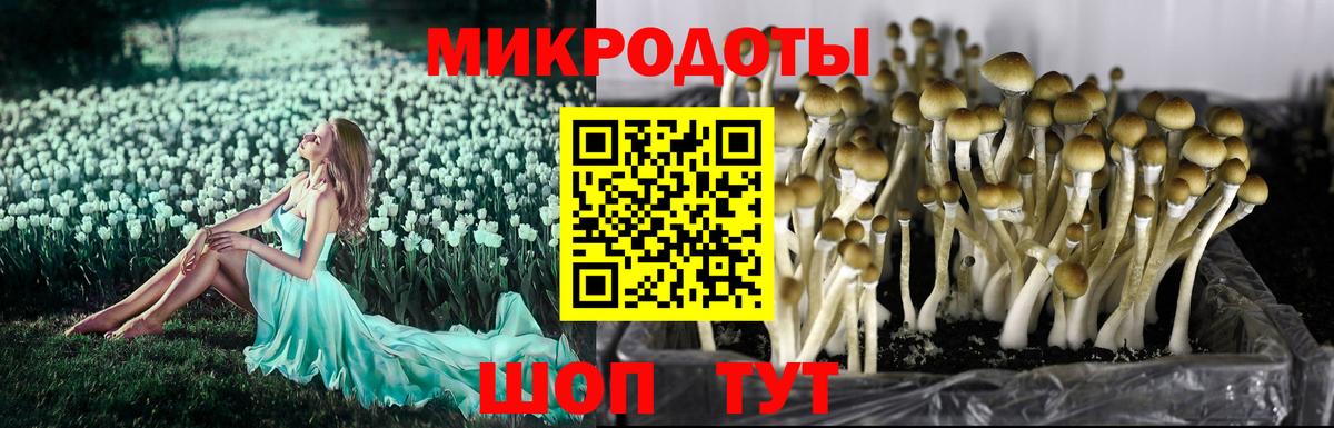 Галлюциногенные грибы MAGIC MUSHROOMS  Вход с VPN  Электрогорск 
