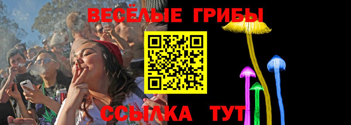 Галлюциногенные грибы ЛСД Электрогорск