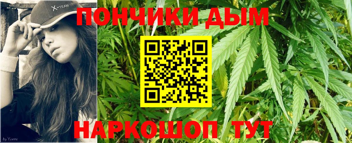 Шишки марихуана SATIVA & INDICA  Электрогорск  Шишки марихуана THC 21% 