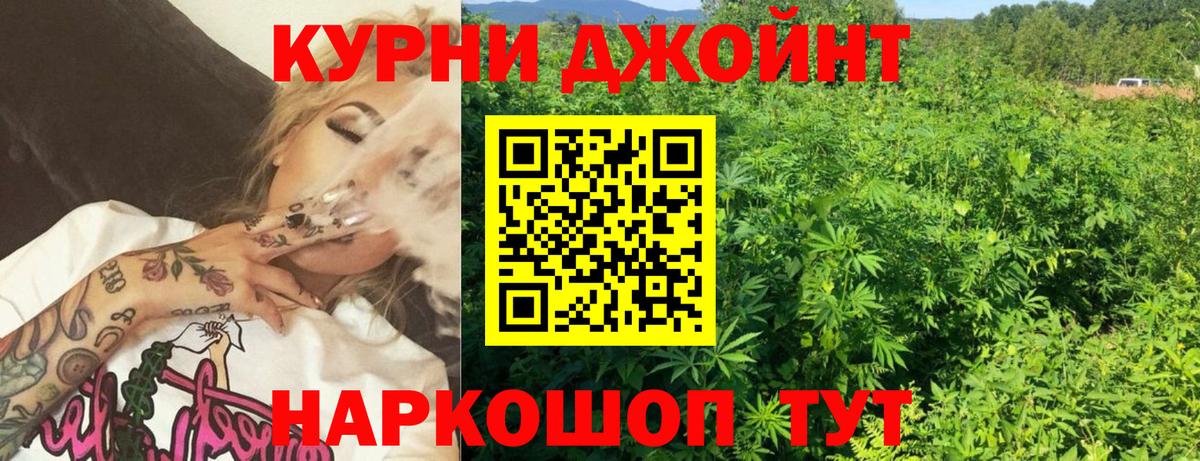 Бошки марихуана план Электрогорск